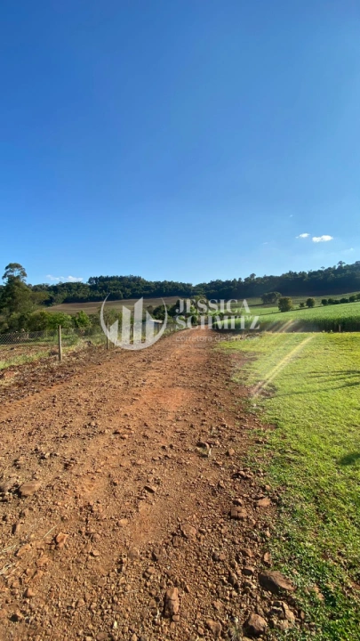 Imagem da galeria de fotos: Sítio Rural para Venda - Dois Vizinhos, Linha Santo Antônio - REF: 2830