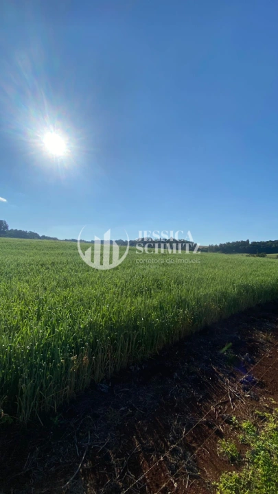 Imagem da galeria de fotos: Sítio Rural para Venda - Dois Vizinhos, Linha Santo Antônio - REF: 2830