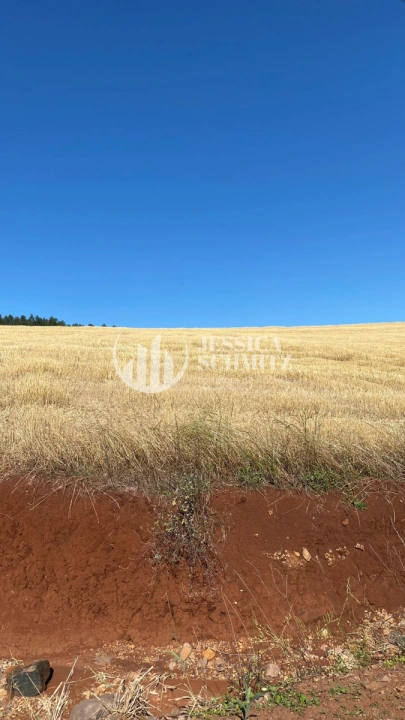 Sítio Rural para Venda - Boa Esperança do Iguaçu, Linha Beletini - REF: 2845 Imagem da galeria de fotos: Sítio Rural para Venda - Boa Esperança do Iguaçu, Linha Beletini - REF: 2845