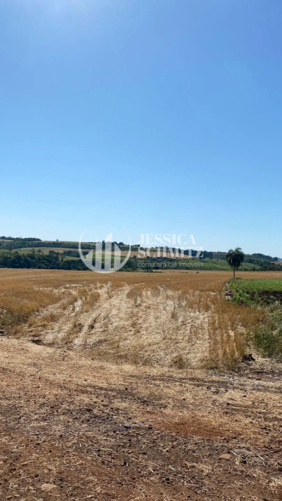 Sítio Rural para Venda - Boa Esperança do Iguaçu, Linha Beletini - REF: 2845 Imagem da galeria de fotos: Sítio Rural para Venda - Boa Esperança do Iguaçu, Linha Beletini - REF: 2845