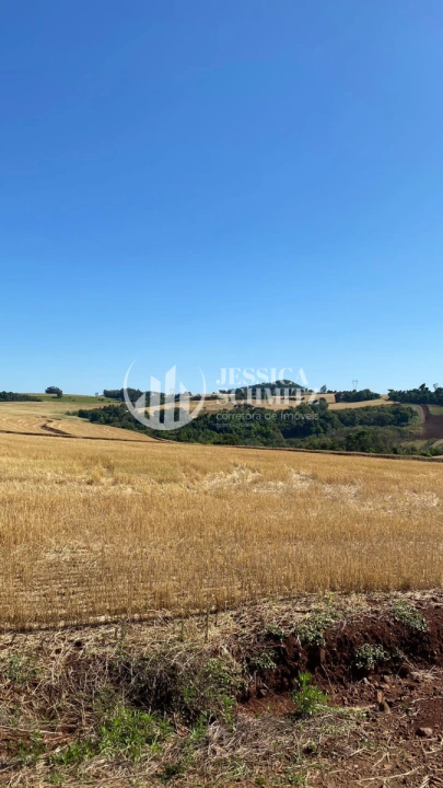 Sítio Rural para Venda - Boa Esperança do Iguaçu, Linha Beletini - REF: 2845 Imagem da galeria de fotos: Sítio Rural para Venda - Boa Esperança do Iguaçu, Linha Beletini - REF: 2845