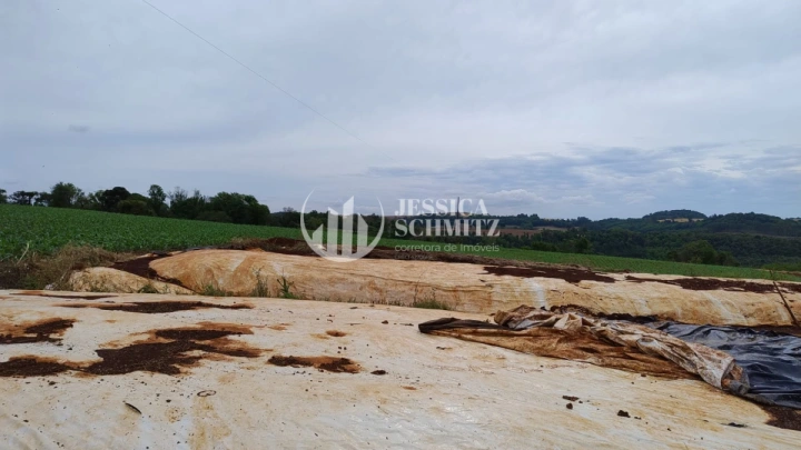 Sítio Rural para Venda - Dois Vizinhos, Linha Carlos Gomes - REF: 2895 Imagem da galeria de fotos: Sítio Rural para Venda - Dois Vizinhos, Linha Carlos Gomes - REF: 2895