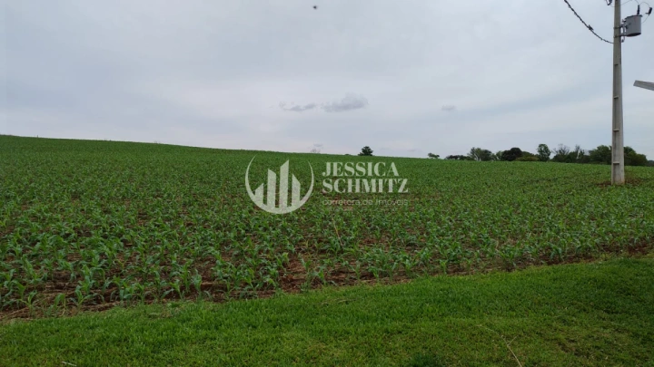 Sítio Rural para Venda - Dois Vizinhos, Linha Carlos Gomes - REF: 2895 Imagem da galeria de fotos: Sítio Rural para Venda - Dois Vizinhos, Linha Carlos Gomes - REF: 2895