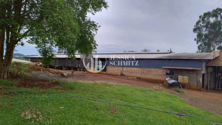 Sítio Rural para Venda - Dois Vizinhos, Linha Carlos Gomes - REF: 2895 Imagem da galeria de fotos: Sítio Rural para Venda - Dois Vizinhos, Linha Carlos Gomes - REF: 2895