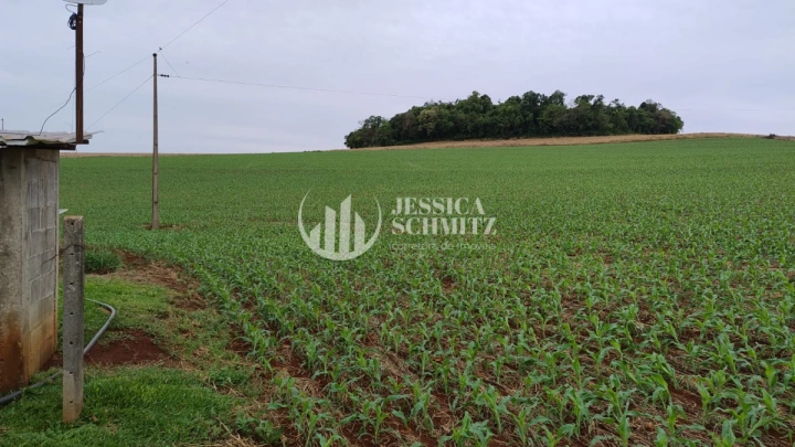 Sítio Rural para Venda - Dois Vizinhos, Linha Carlos Gomes - REF: 2895 Imagem da galeria de fotos: Sítio Rural para Venda - Dois Vizinhos, Linha Carlos Gomes - REF: 2895