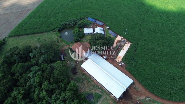 Sítio Rural para Venda - Dois Vizinhos, Linha Carlos Gomes - REF: 2895 Imagem da galeria de fotos: Sítio Rural para Venda - Dois Vizinhos, Linha Carlos Gomes - REF: 2895