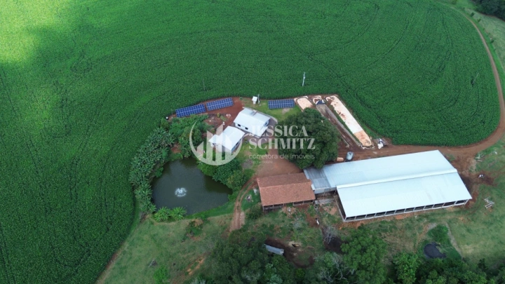 Sítio Rural para Venda - Dois Vizinhos, Linha Carlos Gomes - REF: 2895 Imagem da galeria de fotos: Sítio Rural para Venda - Dois Vizinhos, Linha Carlos Gomes - REF: 2895