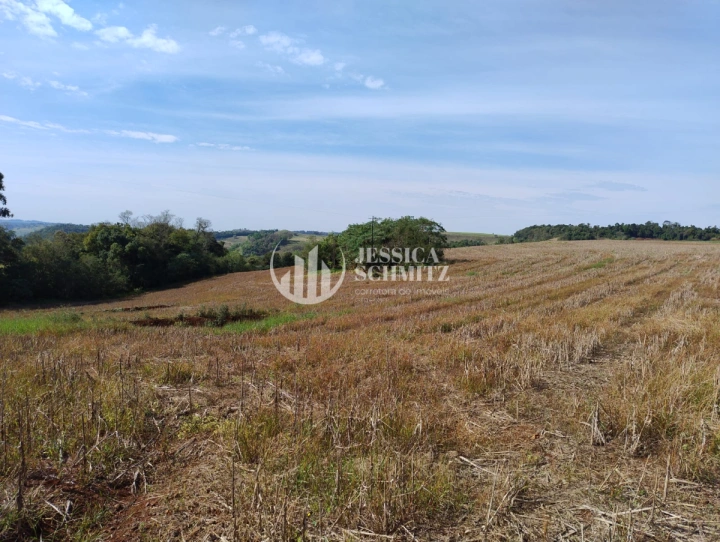 Sítio Rural para Venda - Dois Vizinhos, Linha Ibiaçá - REF: 2900 Imagem da galeria de fotos: Sítio Rural para Venda - Dois Vizinhos, Linha Ibiaçá - REF: 2900