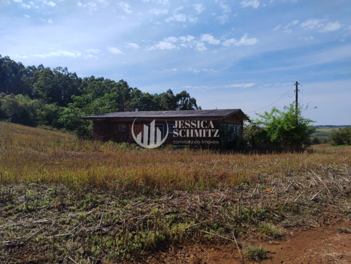 Sítio Rural para Venda - Dois Vizinhos, Linha Ibiaçá - REF: 2900 Imagem da galeria de fotos: Sítio Rural para Venda - Dois Vizinhos, Linha Ibiaçá - REF: 2900