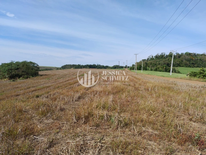 Sítio Rural para Venda - Dois Vizinhos, Linha Ibiaçá - REF: 2900 Imagem da galeria de fotos: Sítio Rural para Venda - Dois Vizinhos, Linha Ibiaçá - REF: 2900