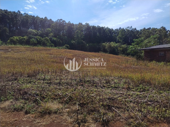 Sítio Rural para Venda - Dois Vizinhos, Linha Ibiaçá - REF: 2900 Imagem da galeria de fotos: Sítio Rural para Venda - Dois Vizinhos, Linha Ibiaçá - REF: 2900