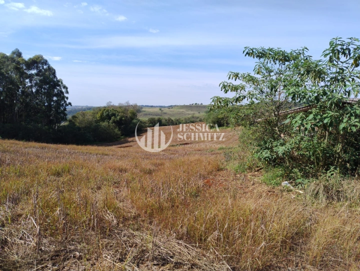 Sítio Rural para Venda - Dois Vizinhos, Linha Ibiaçá - REF: 2900 Imagem da galeria de fotos: Sítio Rural para Venda - Dois Vizinhos, Linha Ibiaçá - REF: 2900