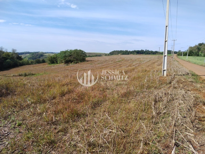 Sítio Rural para Venda - Dois Vizinhos, Linha Ibiaçá - REF: 2900 Imagem da galeria de fotos: Sítio Rural para Venda - Dois Vizinhos, Linha Ibiaçá - REF: 2900