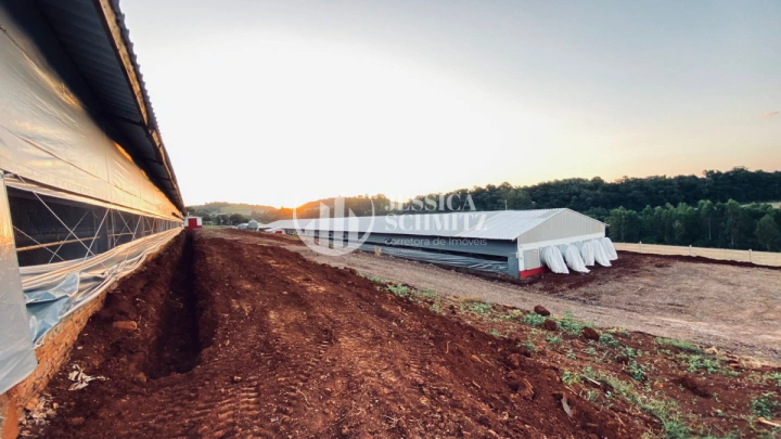 Imagem da galeria de fotos: Sítio Rural para Venda - Boa Esperança do Iguaçu, Comunidade Colônia Rica II - REF: 3055