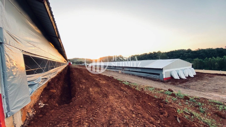 Imagem da galeria de fotos: Sítio Rural para Venda - Boa Esperança do Iguaçu, Comunidade Colônia Rica II - REF: 3055