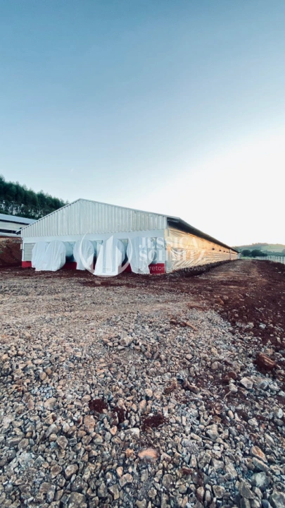 Imagem da galeria de fotos: Sítio Rural para Venda - Boa Esperança do Iguaçu, Comunidade Colônia Rica II - REF: 3055