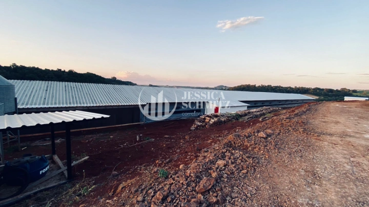 Imagem da galeria de fotos: Sítio Rural para Venda - Boa Esperança do Iguaçu, Comunidade Colônia Rica II - REF: 3055