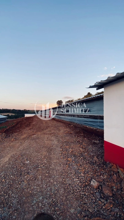 Imagem da galeria de fotos: Sítio Rural para Venda - Boa Esperança do Iguaçu, Comunidade Colônia Rica II - REF: 3055