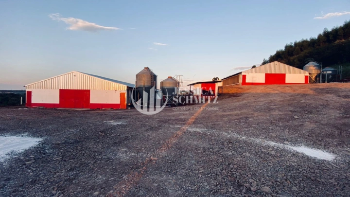 Imagem da galeria de fotos: Sítio Rural para Venda - Boa Esperança do Iguaçu, Comunidade Colônia Rica II - REF: 3055