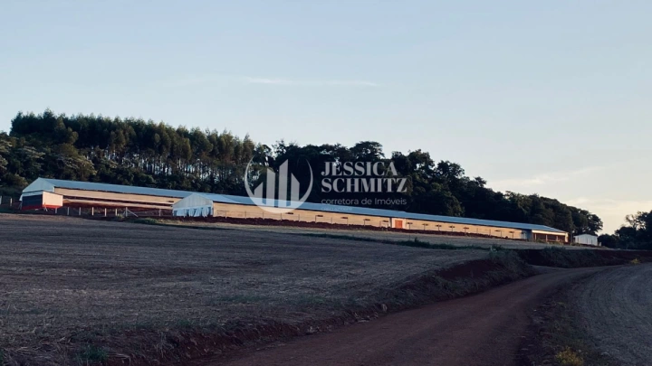 Imagem da galeria de fotos: Sítio Rural para Venda - Boa Esperança do Iguaçu, Comunidade Colônia Rica II - REF: 3055