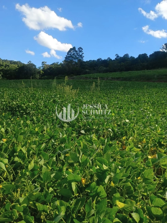 Imagem da galeria de fotos: Sítio Rural para Venda - Dois Vizinhos, Linha Jacutinga - REF: 3058