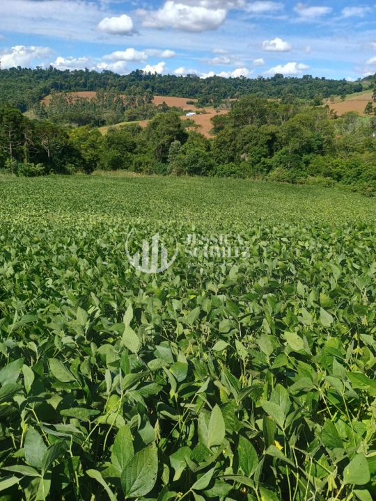 Imagem da galeria de fotos: Sítio Rural para Venda - Dois Vizinhos, Linha Jacutinga - REF: 3058
