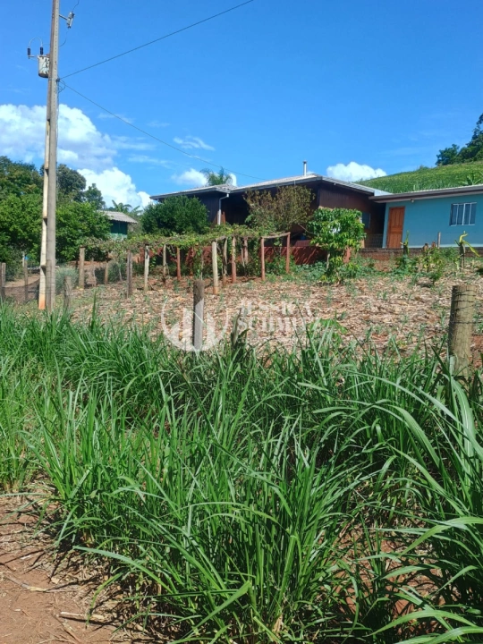 Imagem da galeria de fotos: Sítio Rural para Venda - Dois Vizinhos, Linha Jacutinga - REF: 3058