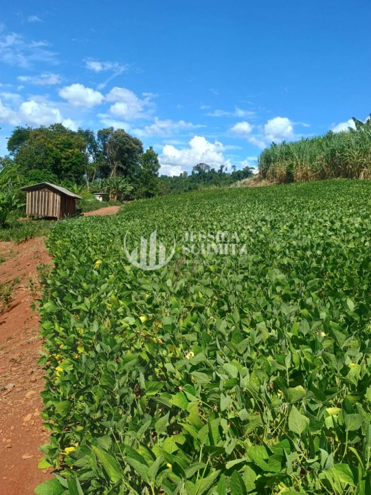 Imagem da galeria de fotos: Sítio Rural para Venda - Dois Vizinhos, Linha Jacutinga - REF: 3058