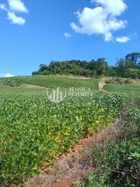 Imagem da galeria de fotos: Sítio Rural para Venda - Dois Vizinhos, Linha Jacutinga - REF: 3058
