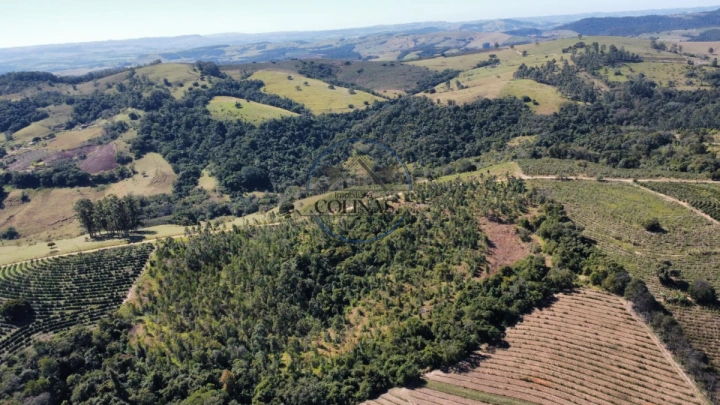 Sítio Rural para Venda - Ibaiti, Área Rural - REF: 2776 Imagem da galeria de fotos: Sítio Rural para Venda - Ibaiti, Área Rural - REF: 2776