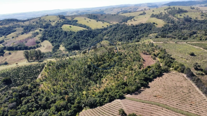 Sítio Rural para Venda - Ibaiti, Área Rural - REF: 2776 Imagem da galeria de fotos: Sítio Rural para Venda - Ibaiti, Área Rural - REF: 2776