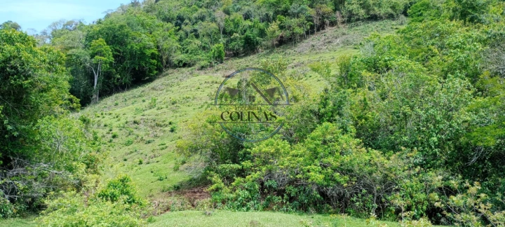 Imagem da galeria de fotos: Sítio Rural para Venda - Congonhinhas, Rural - REF: 2975